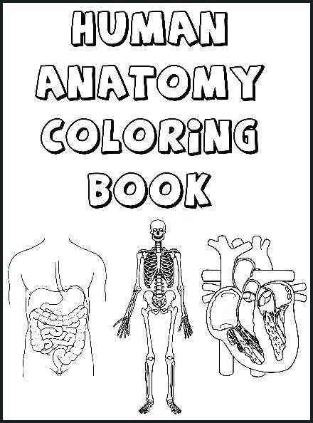 440x594 Body Coloring Pages Anatomy Coloring Book For Kids Plus Kids Human