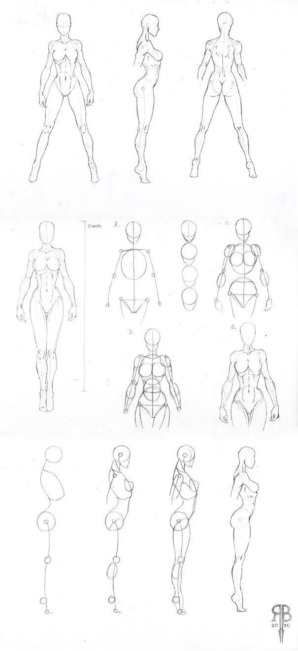 Human Body Line Drawing at GetDrawings.com | Free for personal use