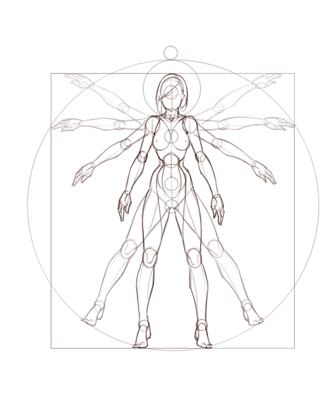 476x560 Drawing The Human Figure Drawing In Photoshop Via