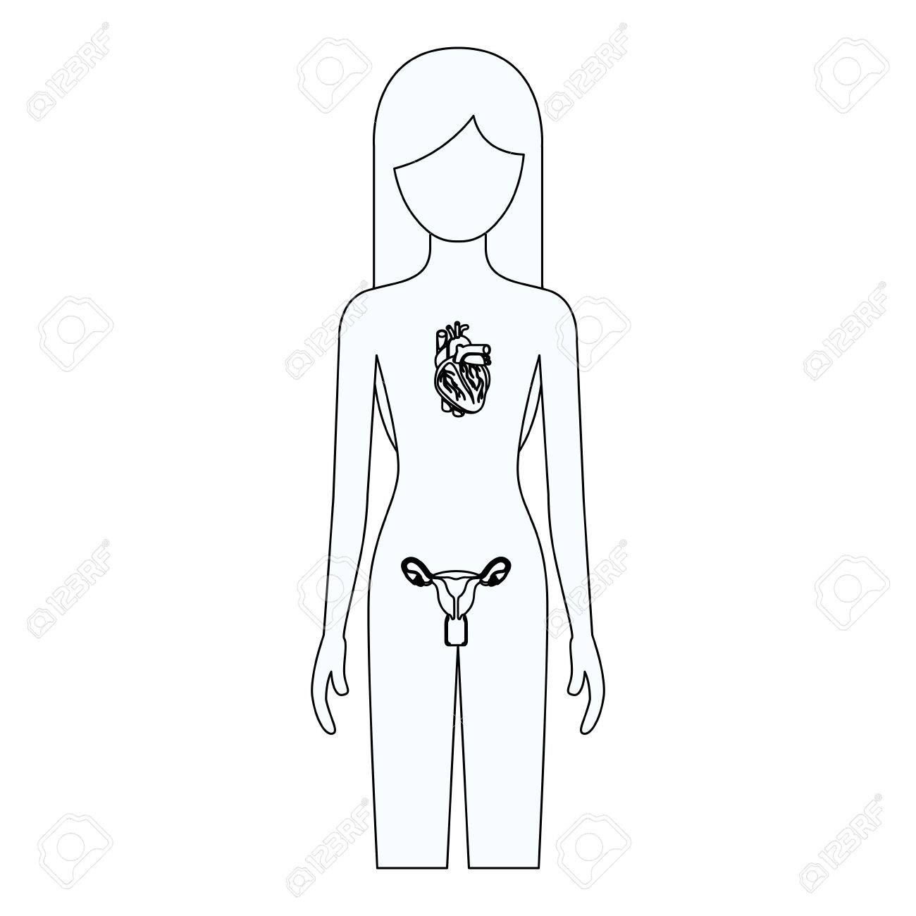 1300x1300 Sketch Silhouette Of Female Person With Circulatory