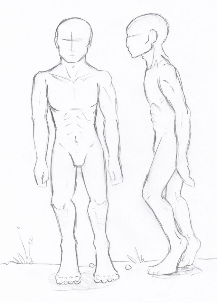 733x1024 Sketch Of The Human Body