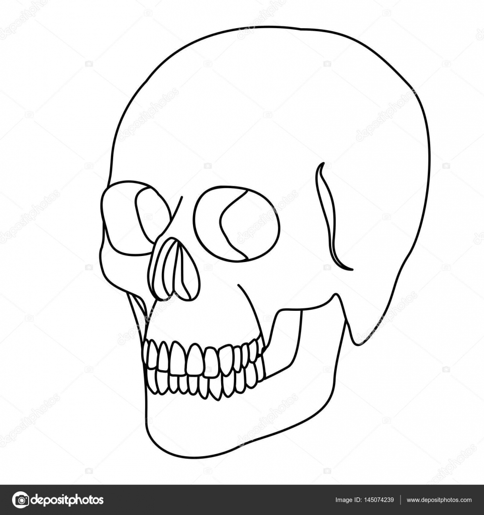 963x1024 Silhouette Skeleton Of The Human Skull Icon Stock Vector