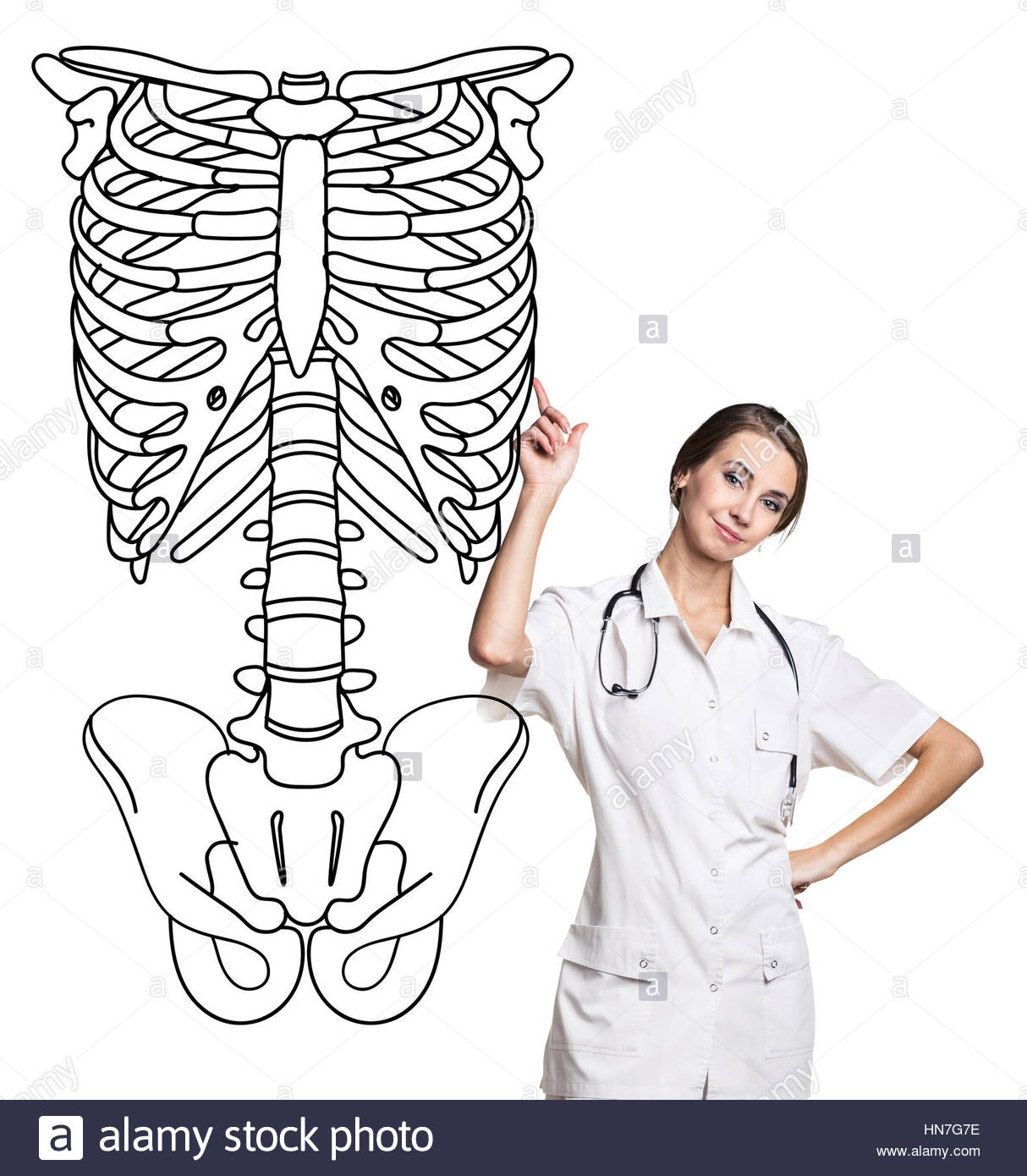 1214x1390 Doctor Woman Pointing On Drawing Human Skeleton Stock Photo