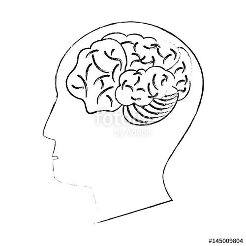 500x500 Head Human Brain Thinking Idea Sketch Vector Illustration Eps 10