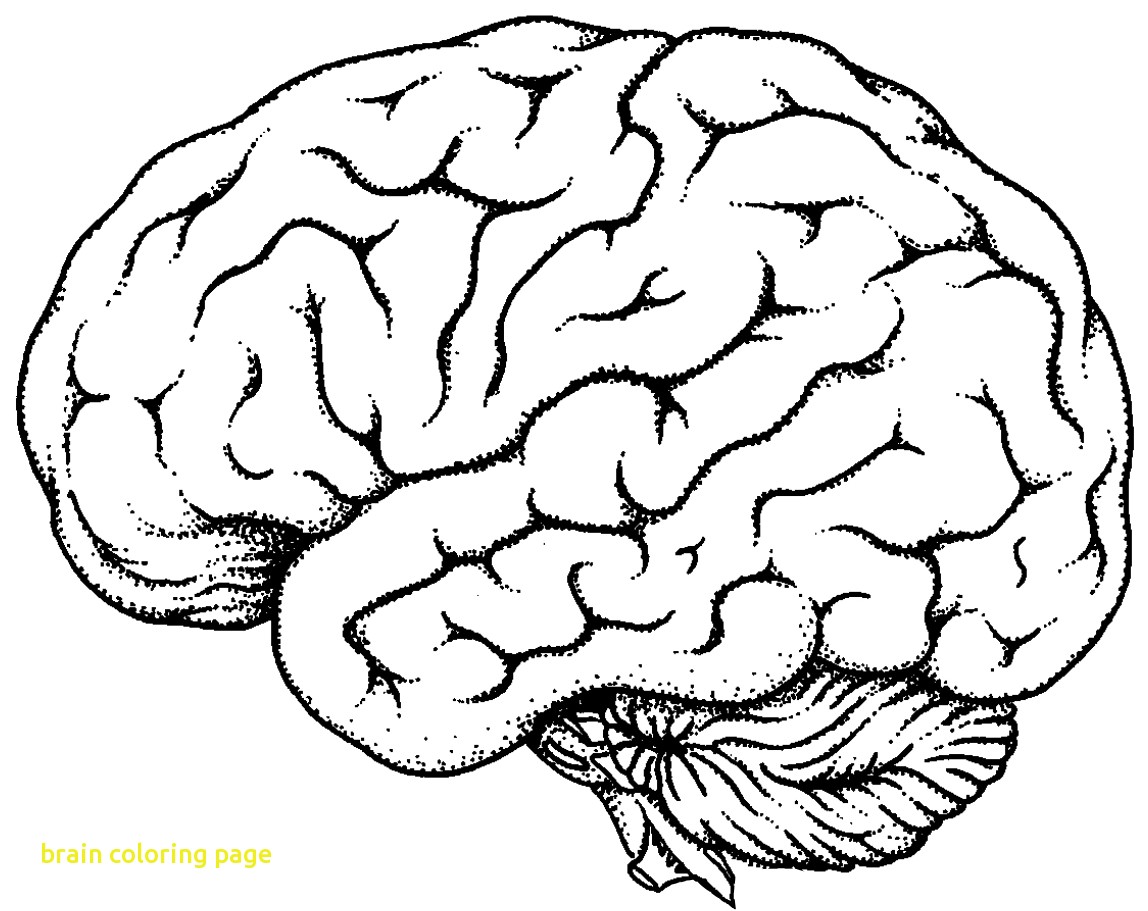 1148x911 Brain Coloring Page With Coloring Sheet Brain Kids Drawing