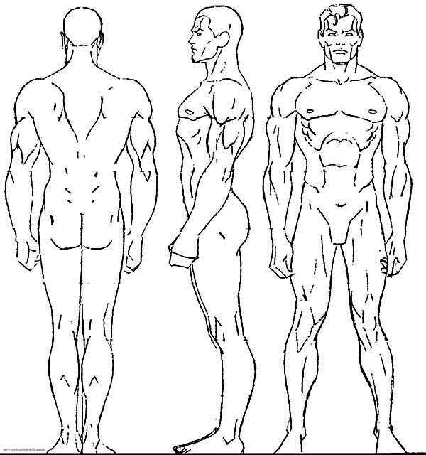 600x640 Male Human Body Coloring Pages Male Human Body Coloring Pages
