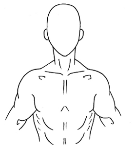 Human Drawing Outline at GetDrawings | Free download