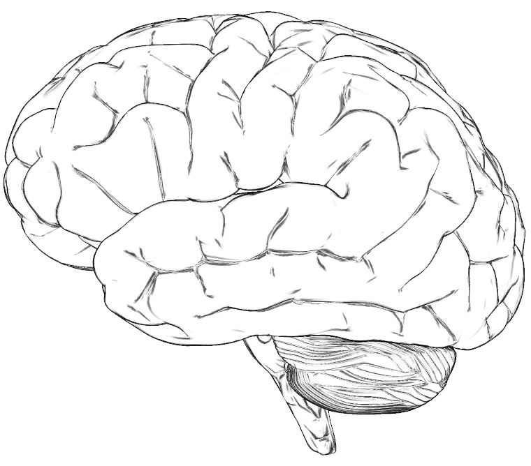 760x668 Brain Drawing Template Brain Drawing Te