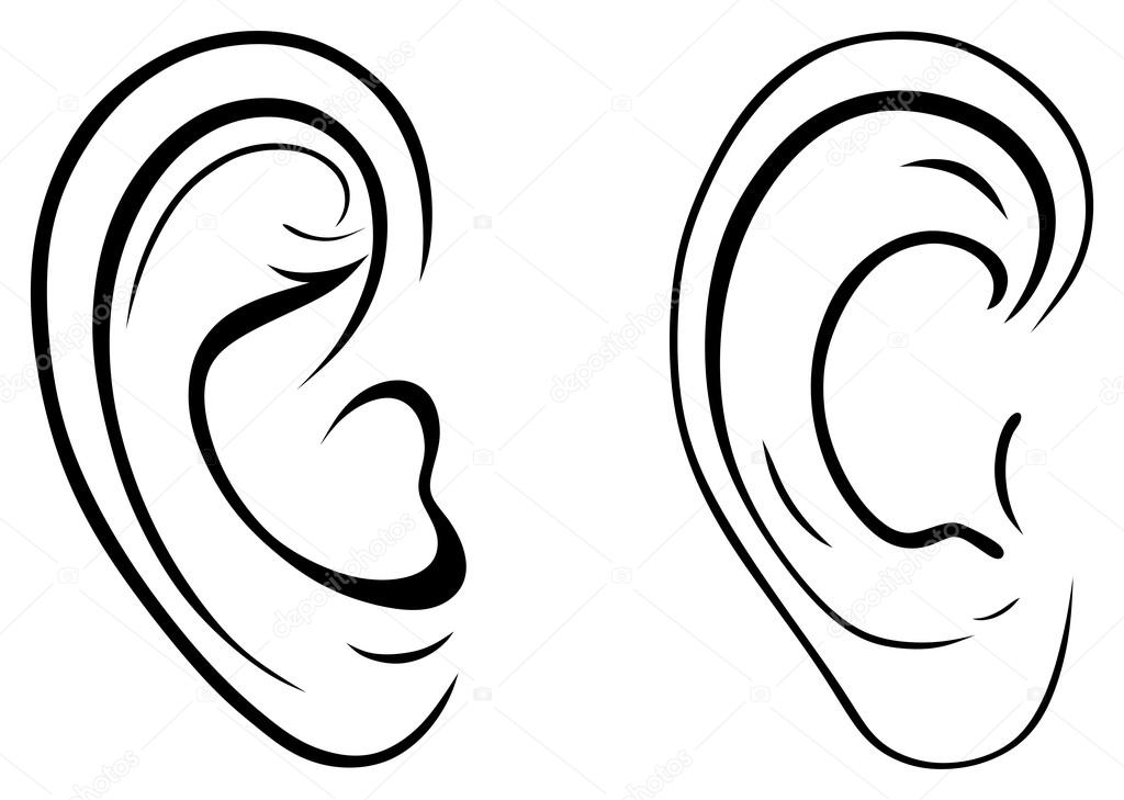 1024x729 Drawing Human Ear Stock Vector Kreativ