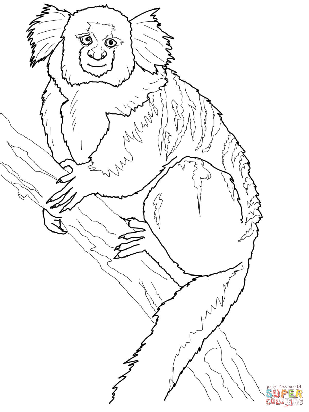 1200x1600 Human Ear Coloring Page Printable Pages Click The Anatomy Free