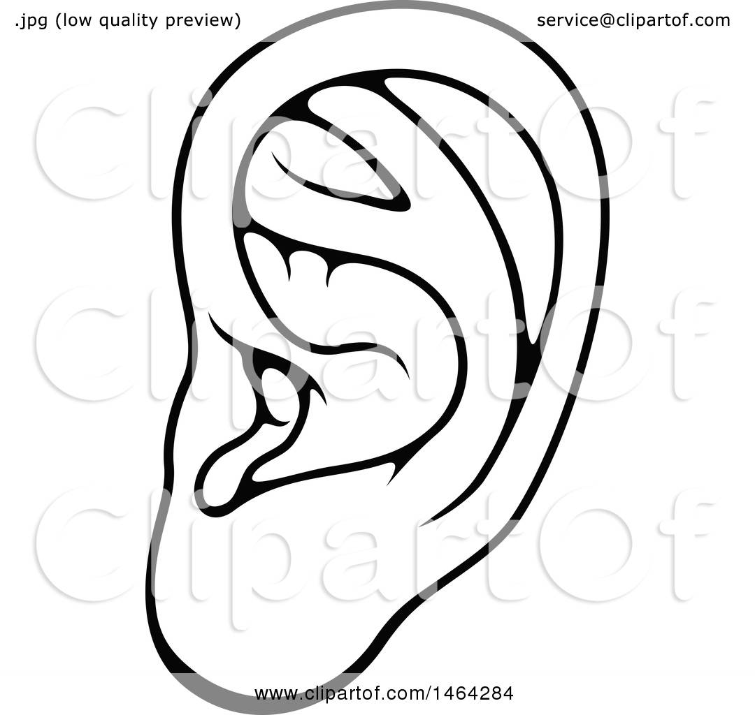 1080x1024 Clipart Of A Black And White Human Ear