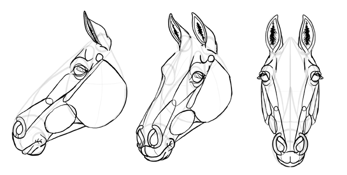 700x353 How To Draw Horses Step By Step Instructions