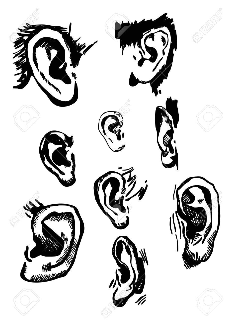 939x1300 Human Ears Set Realistic Hand Drawn Vector Royalty Free Cliparts