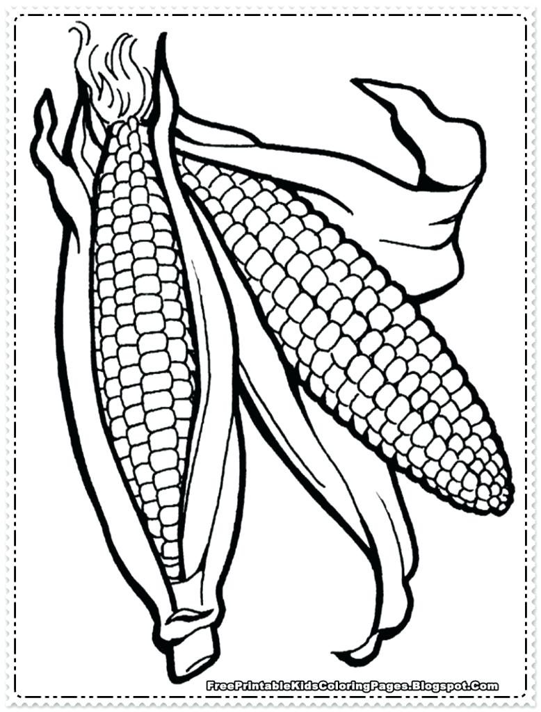 778x1024 X Ear Anatomy Coloring Page Diagram Earmuff Elephant Ear Plant