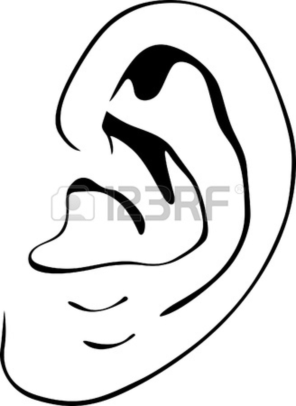 984x1350 Color Book Human Ear Human Ear Drawing