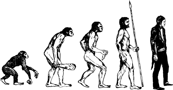 726x378 Human Evolution Wall Sticker