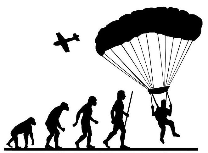 661x487 Human Evolution