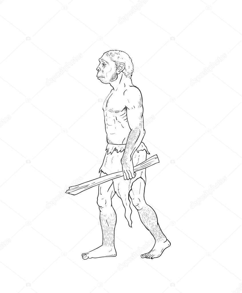 846x1024 Human Evolution Illustration Stock Photo Nicolasprimola