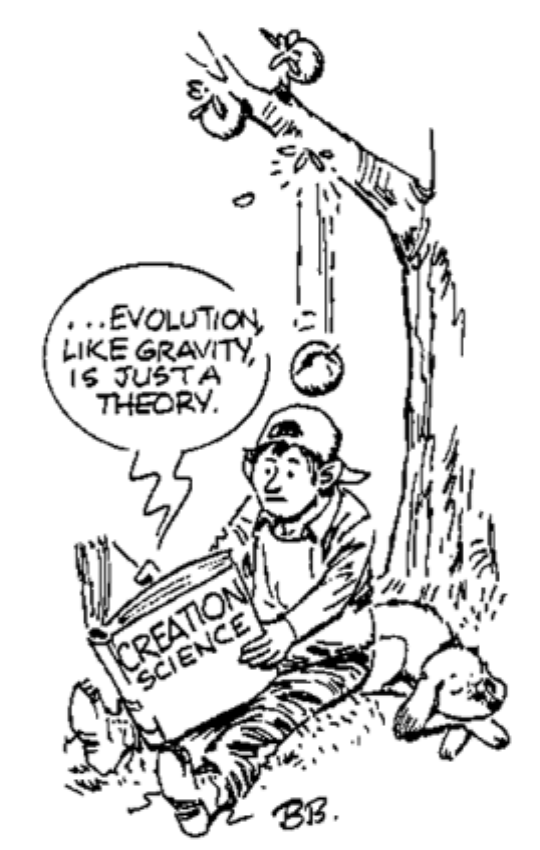 540x850 Myths Of Evolution