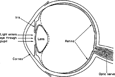 375x253 5 Receivelight