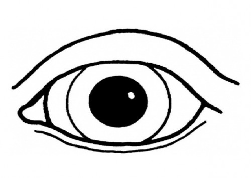 500x355 Human Eye Coloring Pages Free Coloring Pages