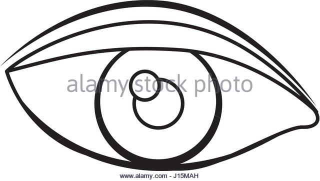 640x362 Human Eye Vector Sketch Stock Photos Amp Human Eye Vector Sketch