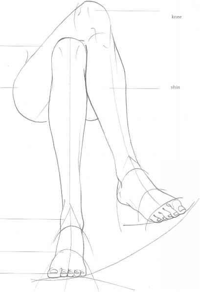409x598 Pin By Labcor On Figura Humana Legs, Sketches