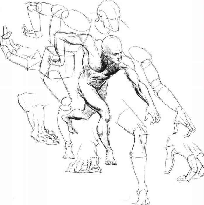 698x702 Body Figure Drawing