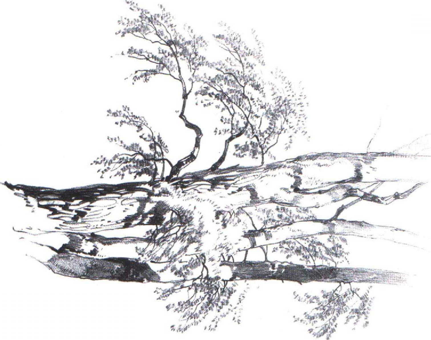 1510x1189 Drawing Of Human Nature With Pencil Nature In Human Hands [3d