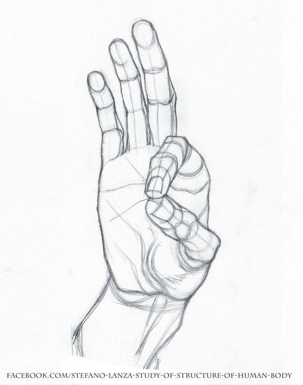 Human Hands Drawing at GetDrawings | Free download