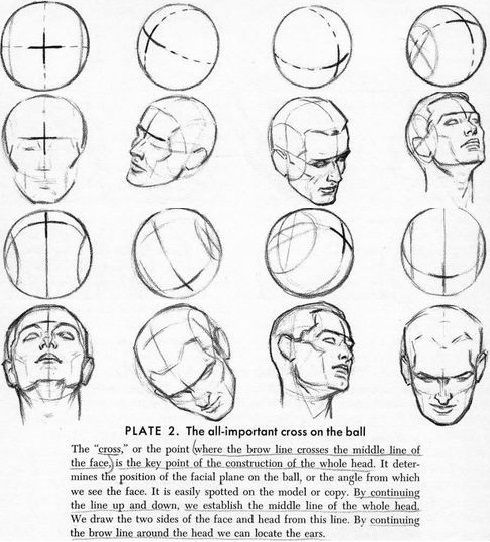 Human Head Anatomy Drawing at GetDrawings | Free download