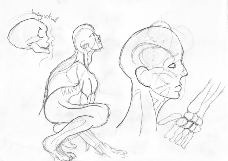 746x528 Sketchbook Human Anatomy Study