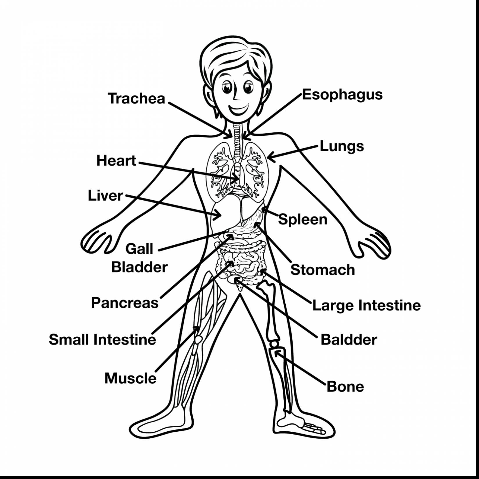 1650x1650 Human Head Coloring Pages Free Draw To Color