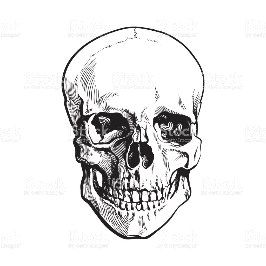 1024x1024 Drawn Head Human Skull
