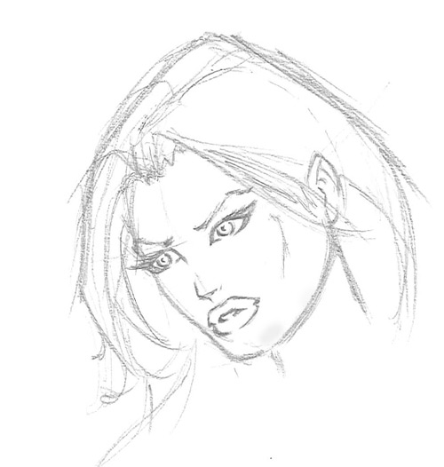 500x526 Female Human Head Drawing