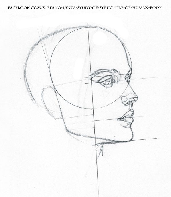 599x692 145 Best Head Construction Techniques Images On Faces