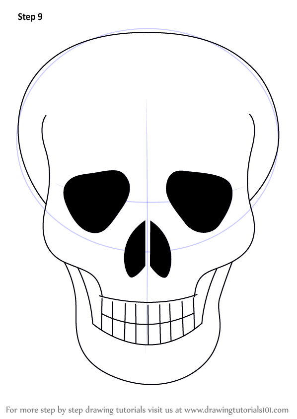 598x844 Photos Really Easy Skull Drawings,