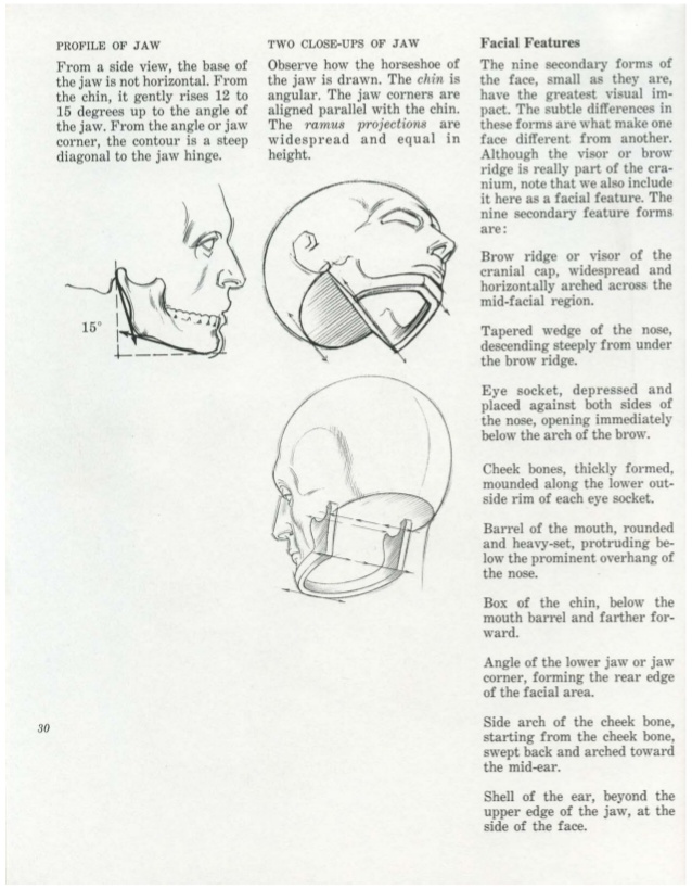 638x819 Burne Hogarth Drawing The Human Head