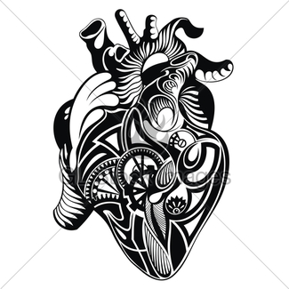 325x325 Human Heart Drawing Gl Stock Images