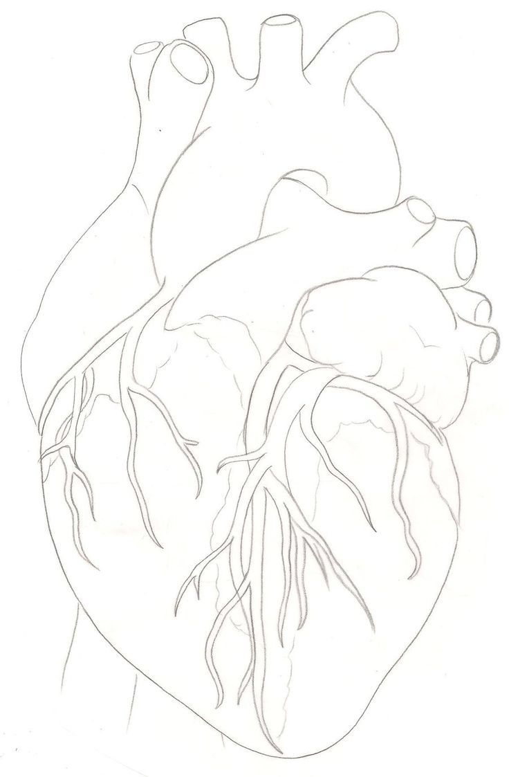 736x1123 Download Human Heart Tattoo Drawing