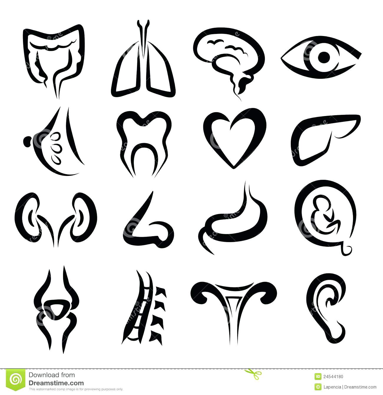 1300x1338 Human Heart Outline Printable Gallery Muscles Anatomical Tattoo