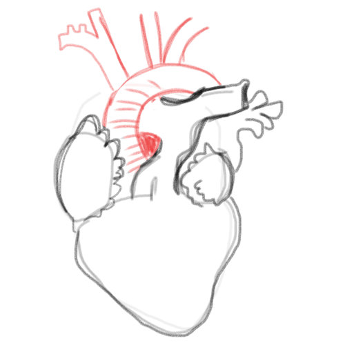 500x500 Drawing A Blank Anatomical Heart Number One With A Bullet