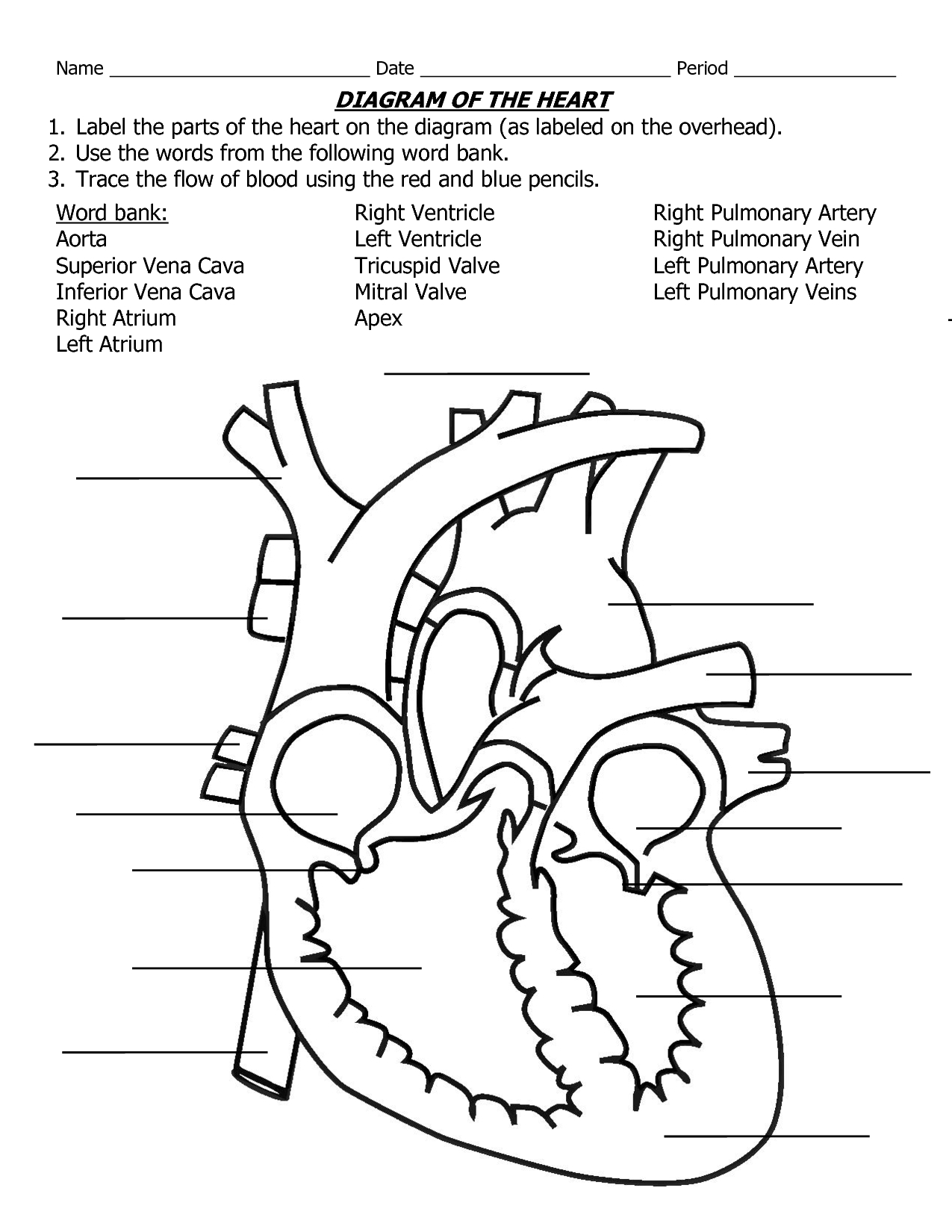 1275x1650 Human Heart Drawing Simple Human Heart Drawing With Labels