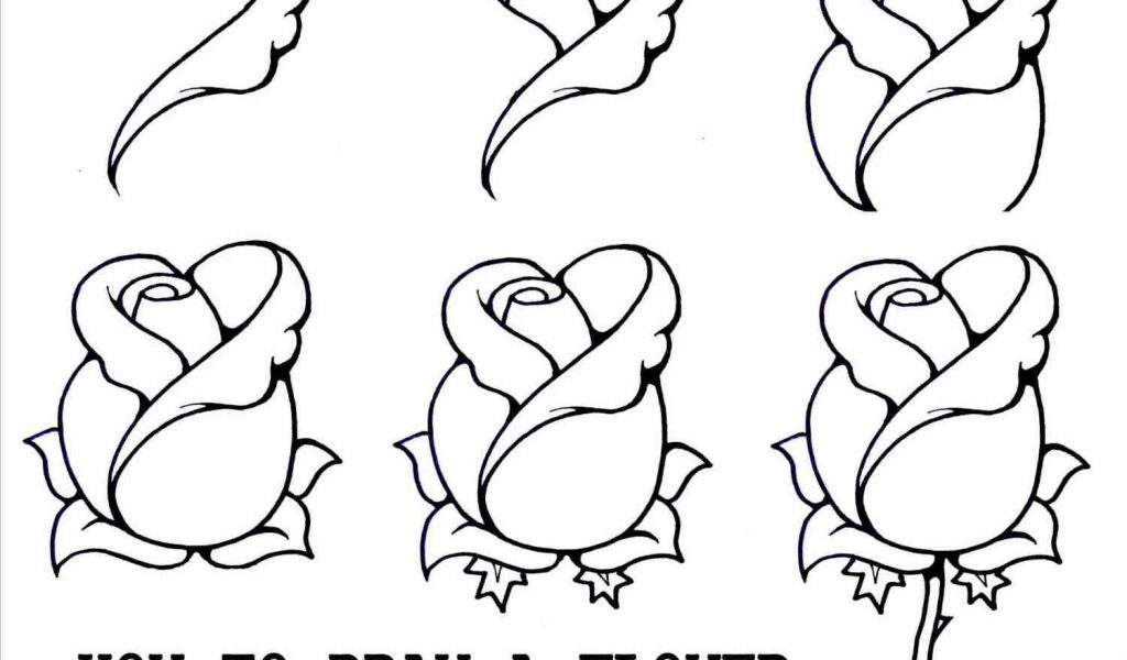 1024x600 The Images Collection Of Tutorials Tumblr How Rose Tutorial