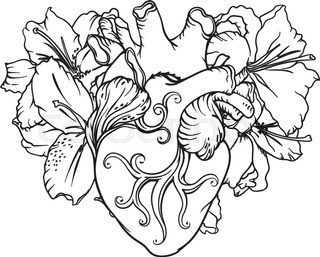 320x257 Set Of Stylized Anatomical Human Heart And White Lilies Drawings