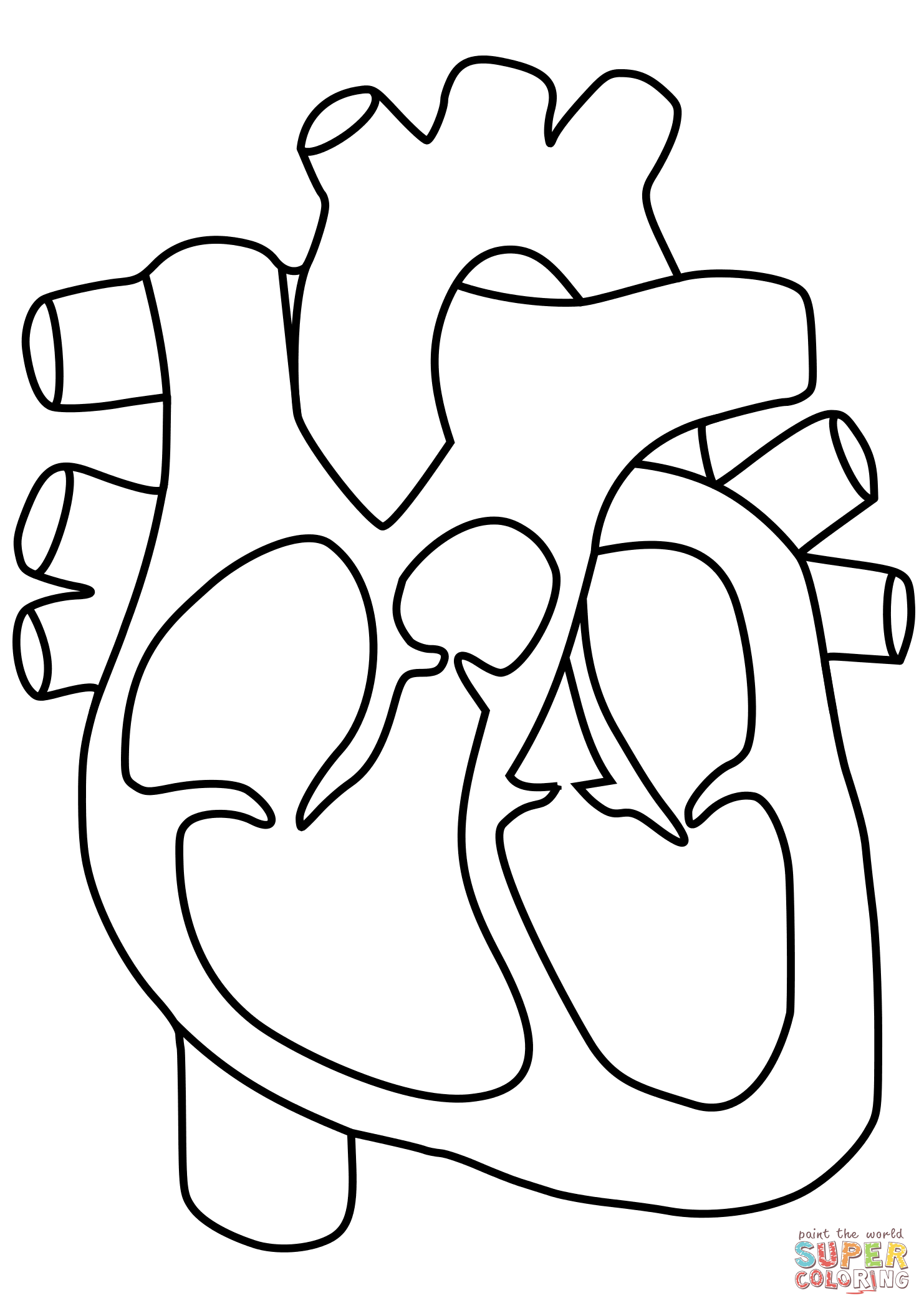 1482x2098 Printable Pictures Of The Human Heart