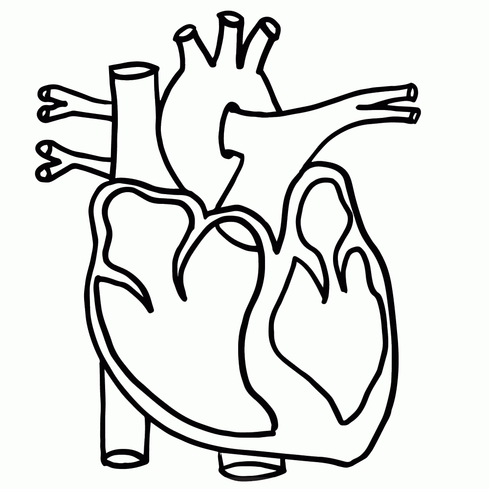 1000x1000 Human Heart Black And White Clipart Letters