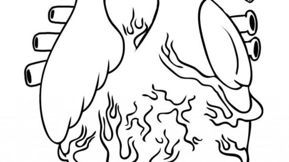 570x320 Simple Human Heart Drawing Simple Human Heart Drawing