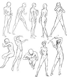 236x271 Leg Reference