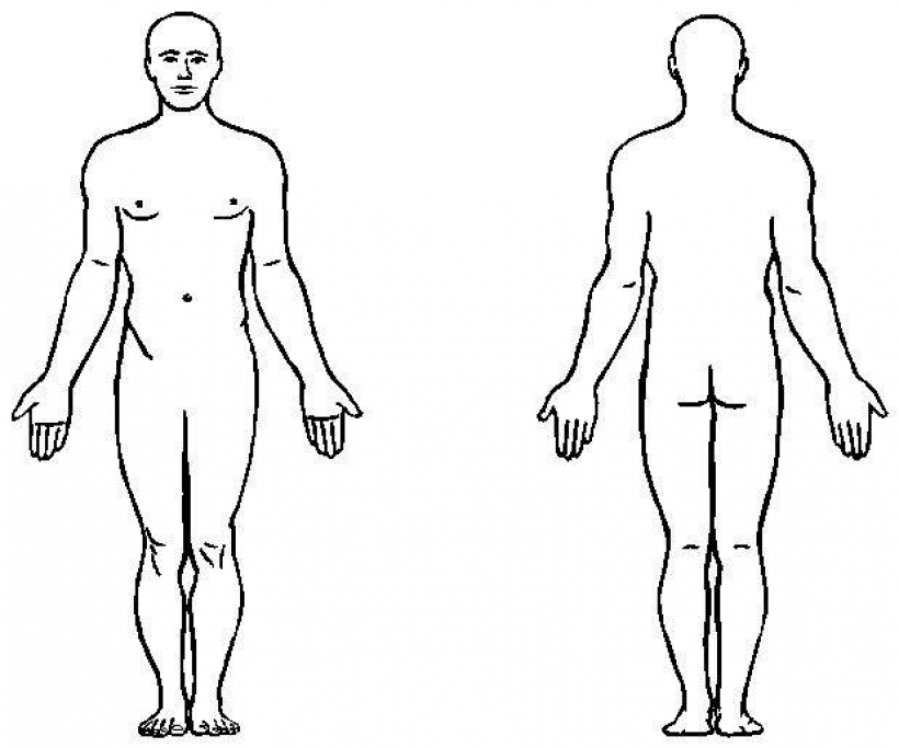 820x683 Human Body Clipart Black And White